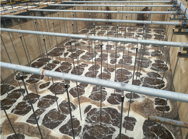 &aring;&sup1;&iquest;&aring;&ordm;��&ccedil;��Ÿ&aring;Œ�C&aelig;��&iexcl;&aelig;��&acute;&aring;��„&ccedil;†&aelig;��&sup1;���&nbsp;&aelig;&iexcl;ˆ&auml;&frac34;‹