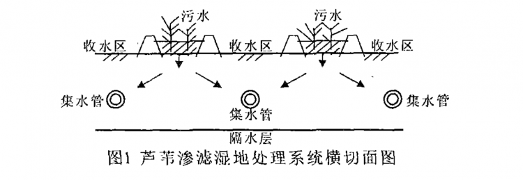農村生活污水處理技術探討