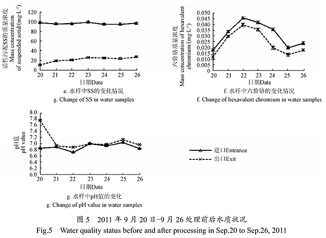 ACGMP生態農村污水處理系統應用